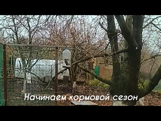 Video thumbnail for Кормим птиц