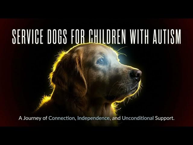 Video thumbnail for How Service Dogs Provide a Neurological and Social Lifeline for Children with Autism