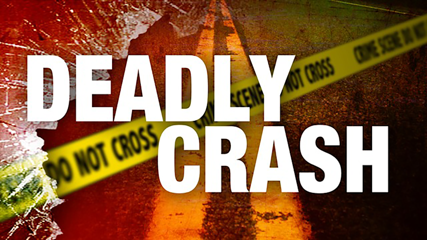 Video thumbnail for 73-year-old NYC man struck and killed by car in Torrington