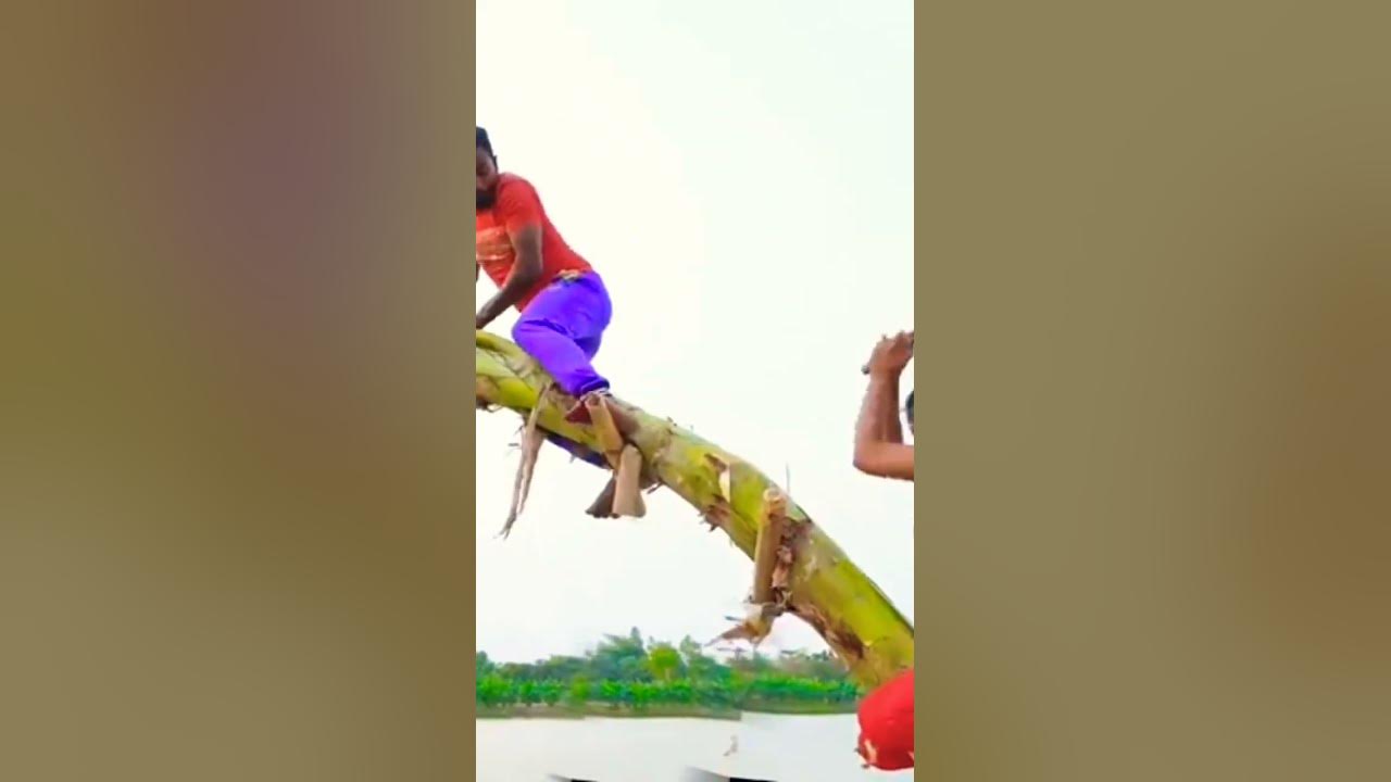 Video thumbnail for shortvideo #shorts #shot #arshadmilton