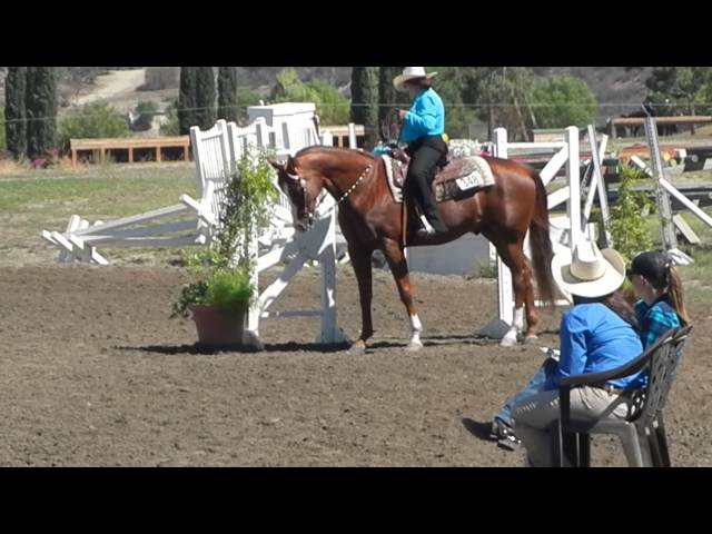 Video thumbnail for DSCN2101