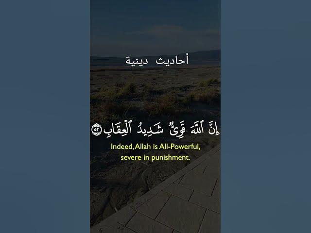 Video thumbnail for 29 Gennaio 2026