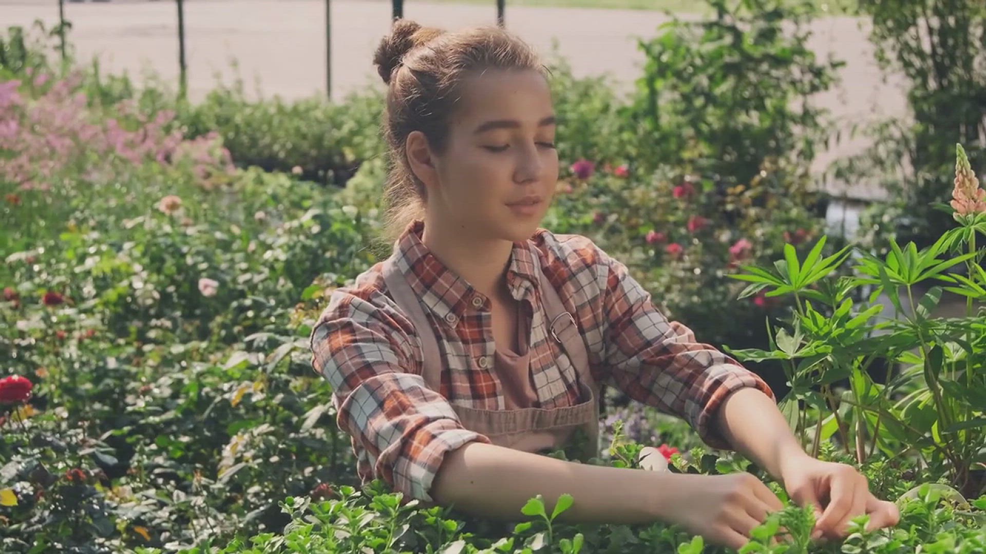 'Video thumbnail for Planting a Salsa Garden: A Step-by-Step Guide'