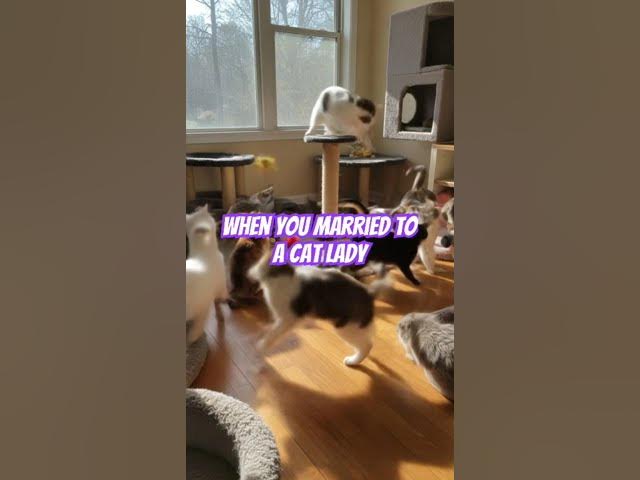 Video thumbnail for Cat lady vibes #cats #DreamScreenAI