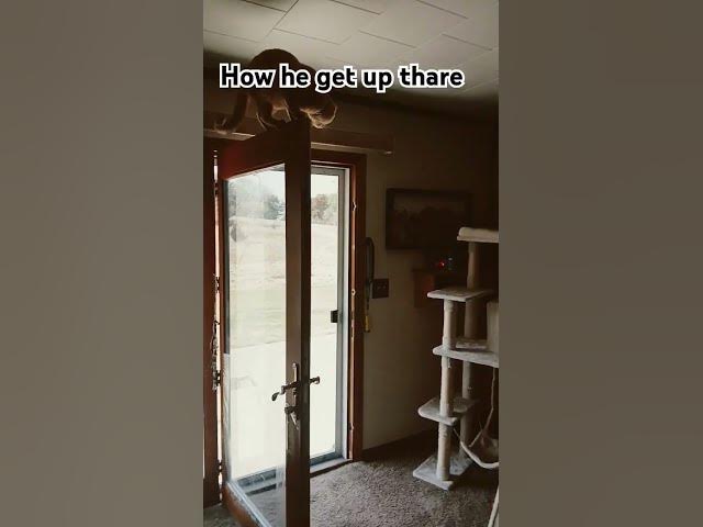 Video thumbnail for April 13, 2025