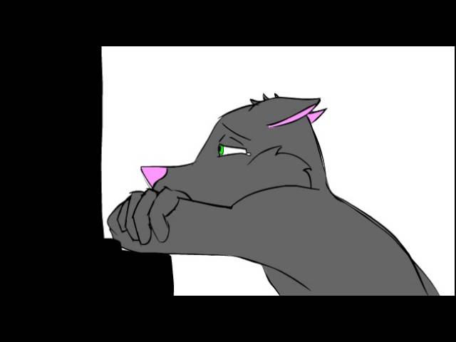 Video thumbnail for Untitled 2