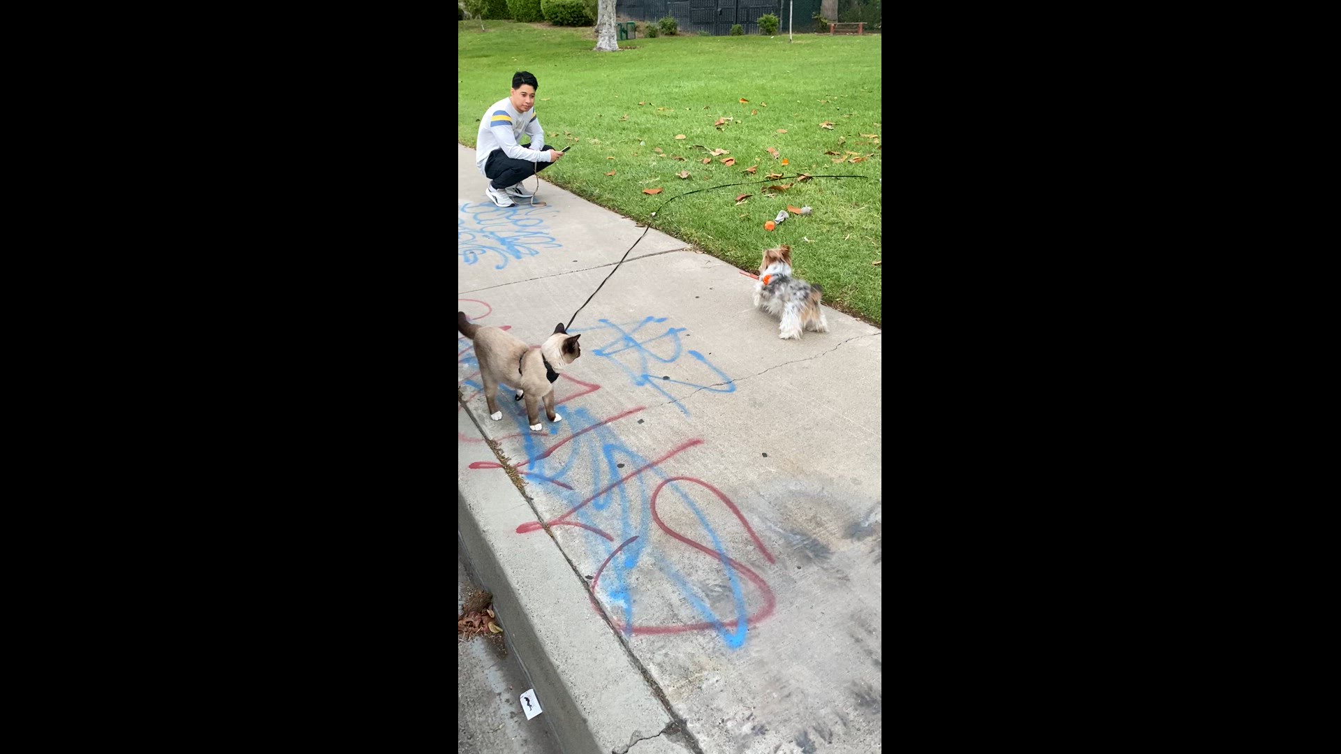 Video thumbnail for IMG_0925