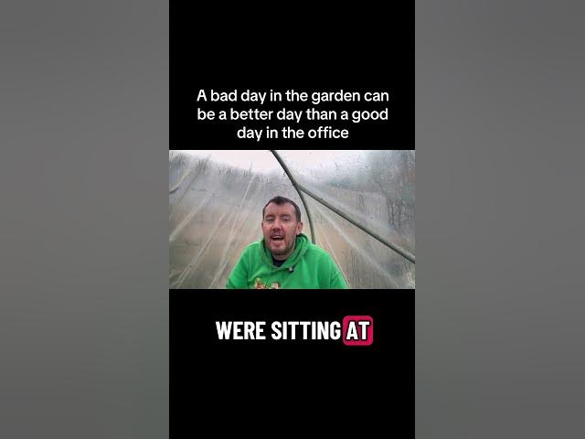 Video thumbnail for 🎥 ✅ A Bad Day in the Garden 🌧️ Is Still Better Than a Day in the Office 💼 | Allotment Life 🎧