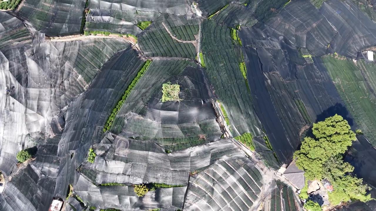 Video thumbnail for China: High-temperature Agriculture 2.