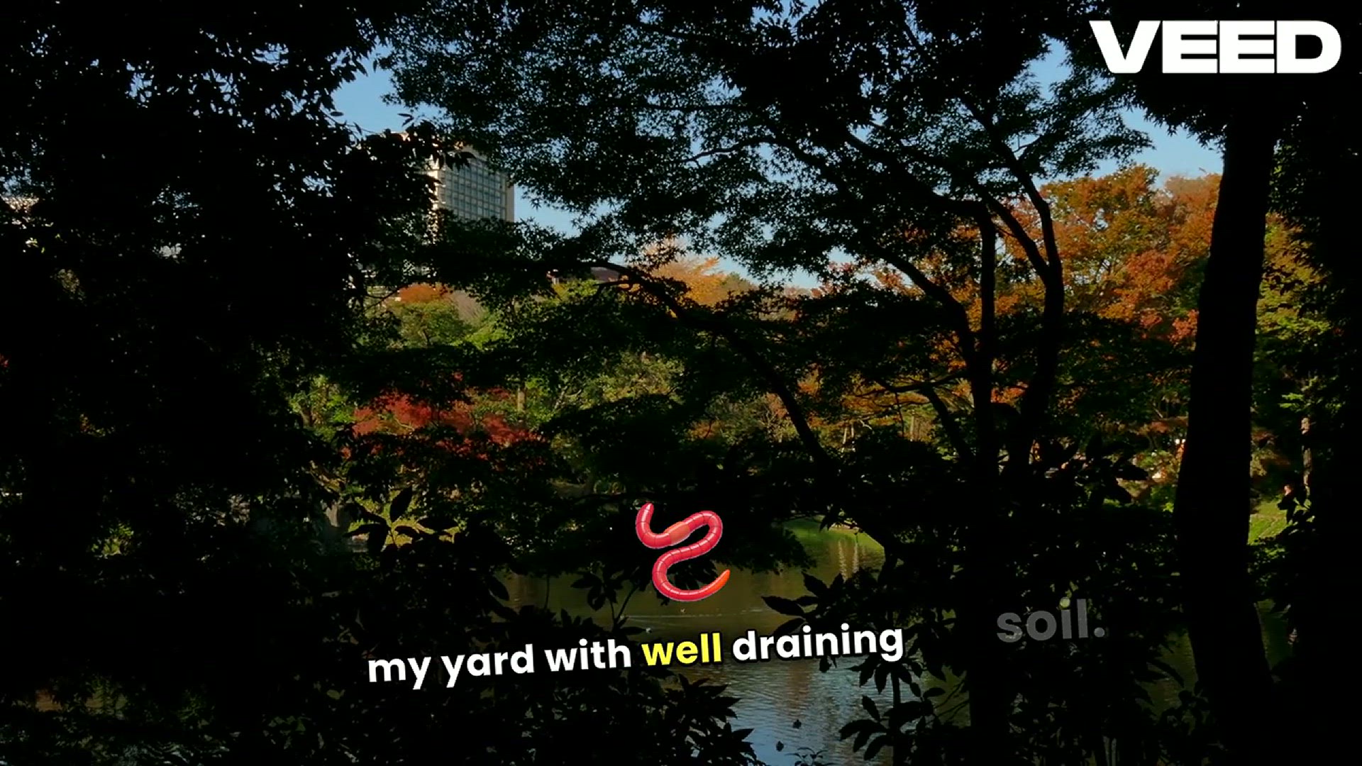 'Video thumbnail for How to Build a Beautiful Garden with Pansy Flowers'