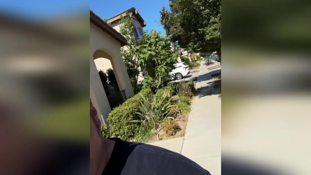 Video thumbnail for US: Mother Duck Reunited With Ducklings After Firefighters Rescue Them From Hole.