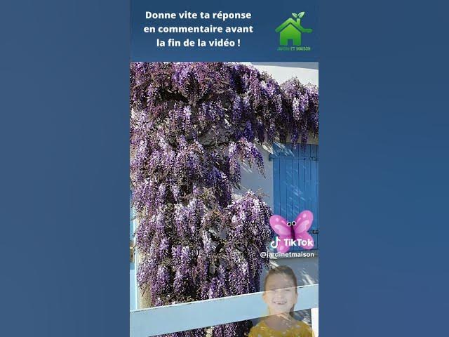 Video thumbnail for Comment s'appelle cette fleur ?