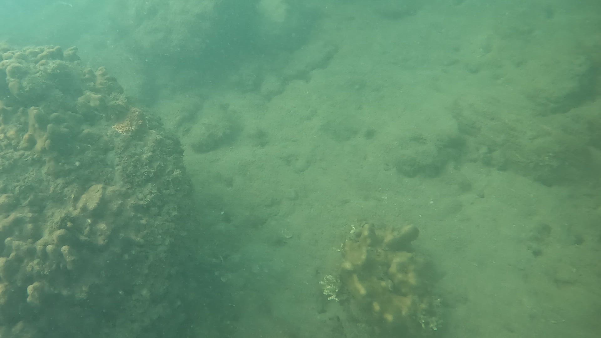 Video thumbnail for Scuba Diving in Saint martin Bangladesh