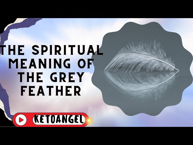 'Video thumbnail for The Spiritual Meaning of the Grey Feather symbols'