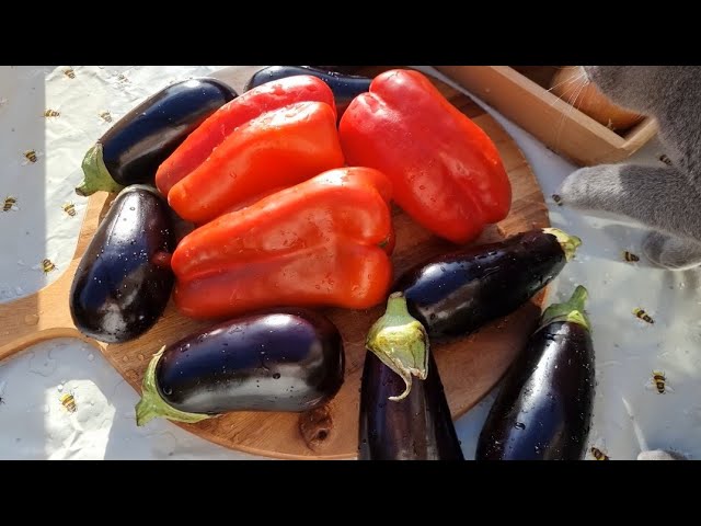 Video thumbnail for Roasted Vegetable Spread💡