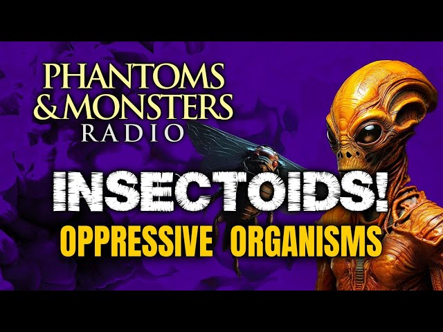 'Video thumbnail for INSECTOIDS! - OPPRESSIVE ORGANISMS | LIVE CHAT - Join Us! | Q & A (CHILLING EXPERIENCER ACCOUNTS)'
