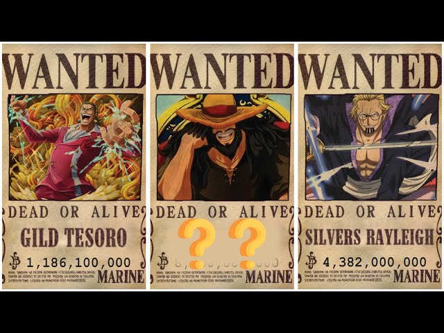 Video thumbnail for One Piece Unknown Bounties | Anime Bytes