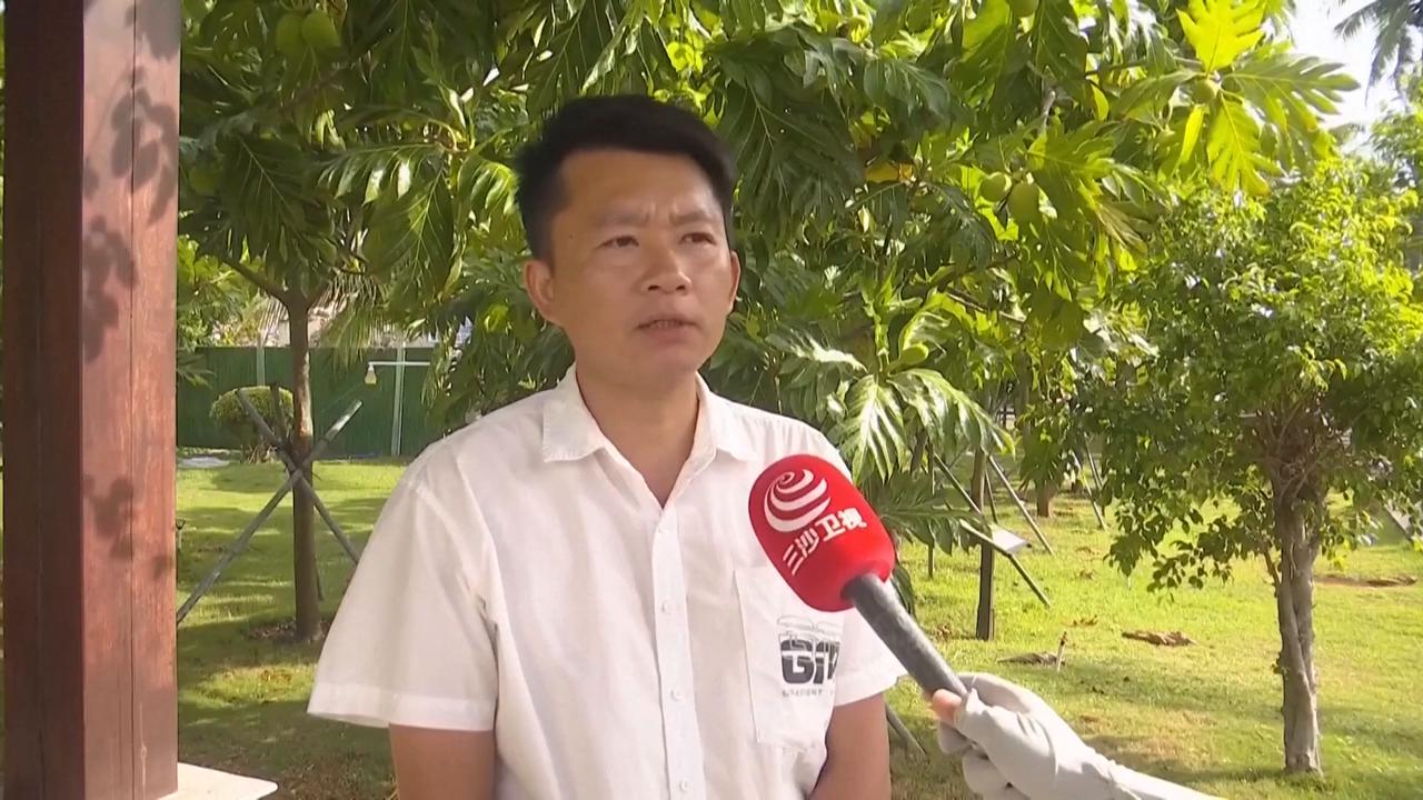 Video thumbnail for China: China's southernmost city Sansha introduces breadfruit trees to enrich island ecology.