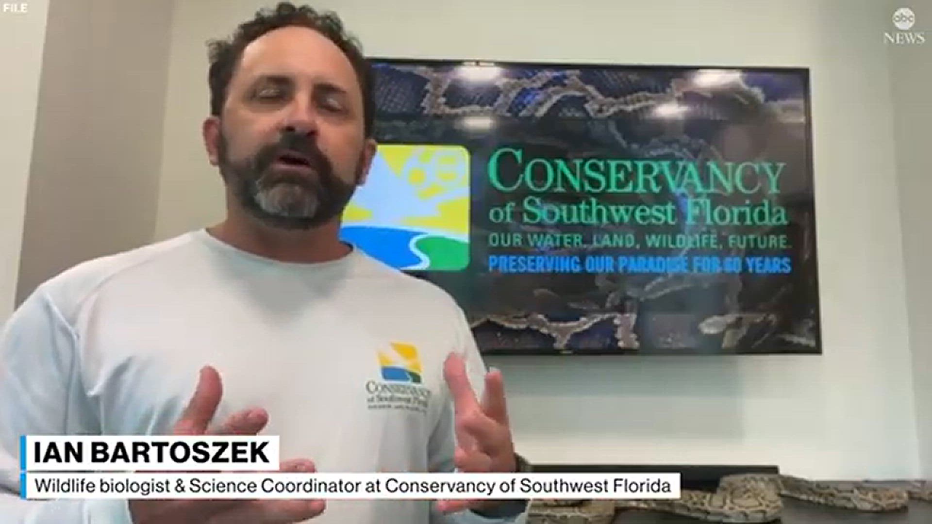 Video thumbnail for How Florida biologists discovered a Burmese python swallowing a fully-grown deer