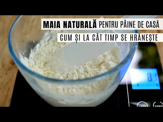 'Video thumbnail for Maia naturală pentru pâine de casă. Cum se hrănește maiaua, ce făină se folosește | Bucate Aromate'