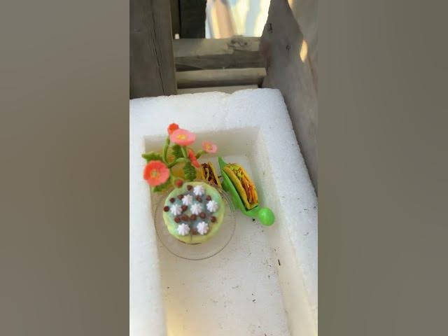 Video thumbnail for Giving you a tour of my slide house