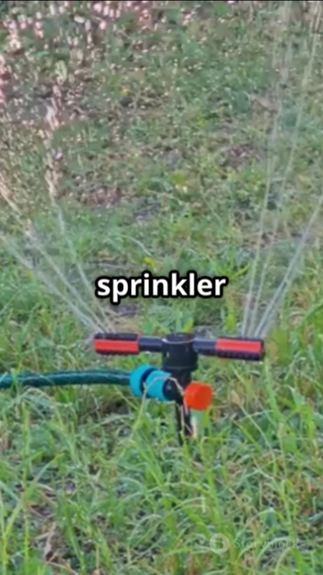 Video thumbnail for Hilarious Pet Moments That’ll Make Your Day!