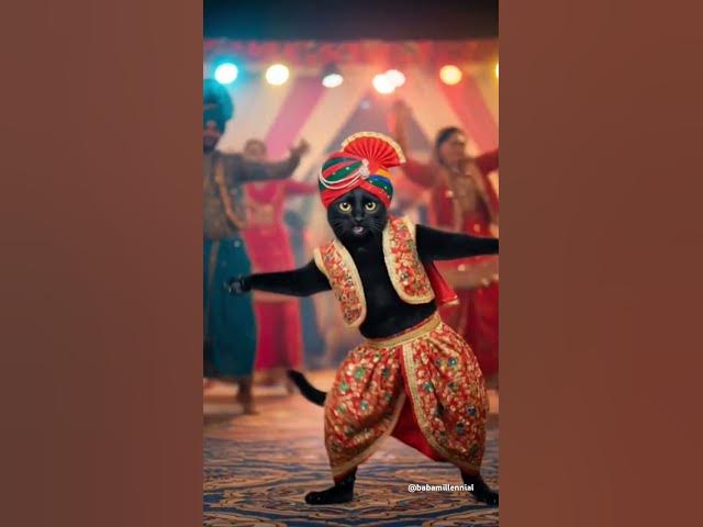 Video thumbnail for The cat doing bhangra #DreamScreenAI
