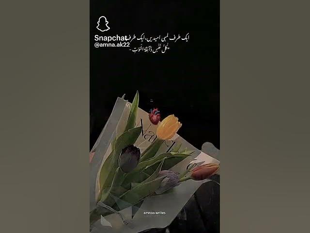 Video thumbnail for December 19, 2024