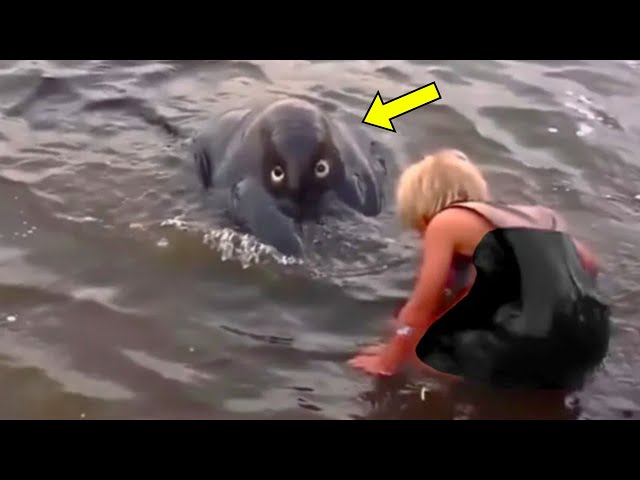 Video thumbnail for Woman Notices Strange Creature In River. She Turns Pale After Coming Closer