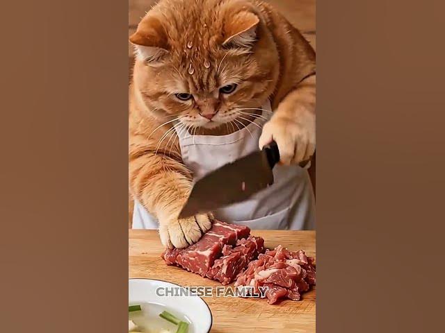 Video thumbnail for #india #shortsviral #subscribe #viralvideo