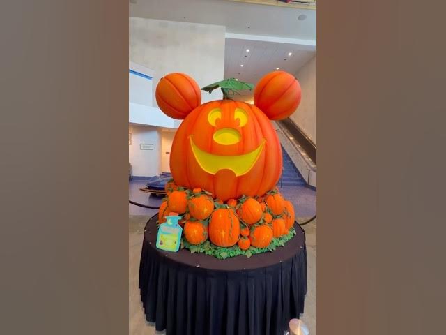Video thumbnail for What a GREAT Mickey pumpkin display at the Disneyland Hotel!