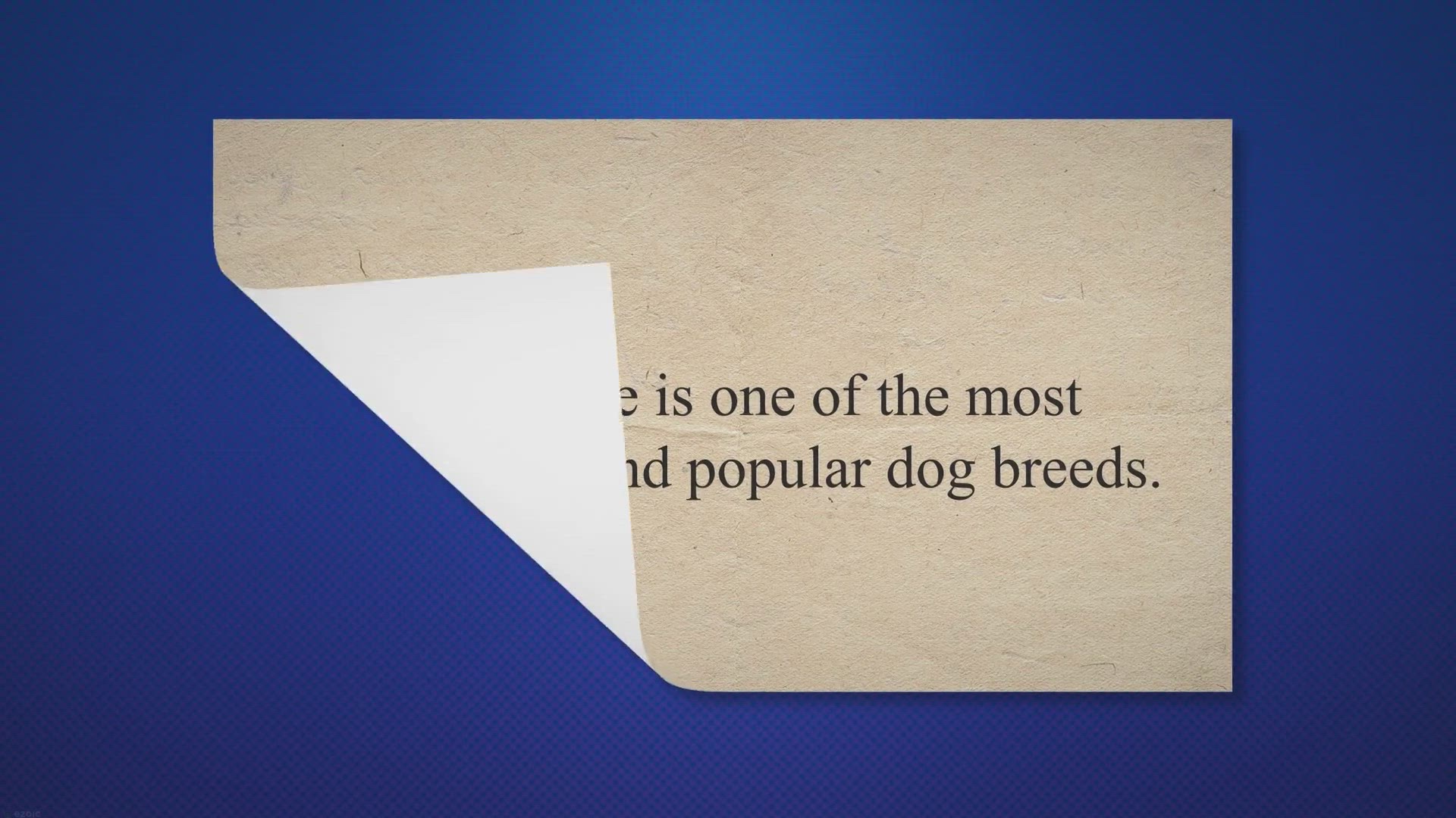 Video thumbnail for Why do Beagles Change Color?