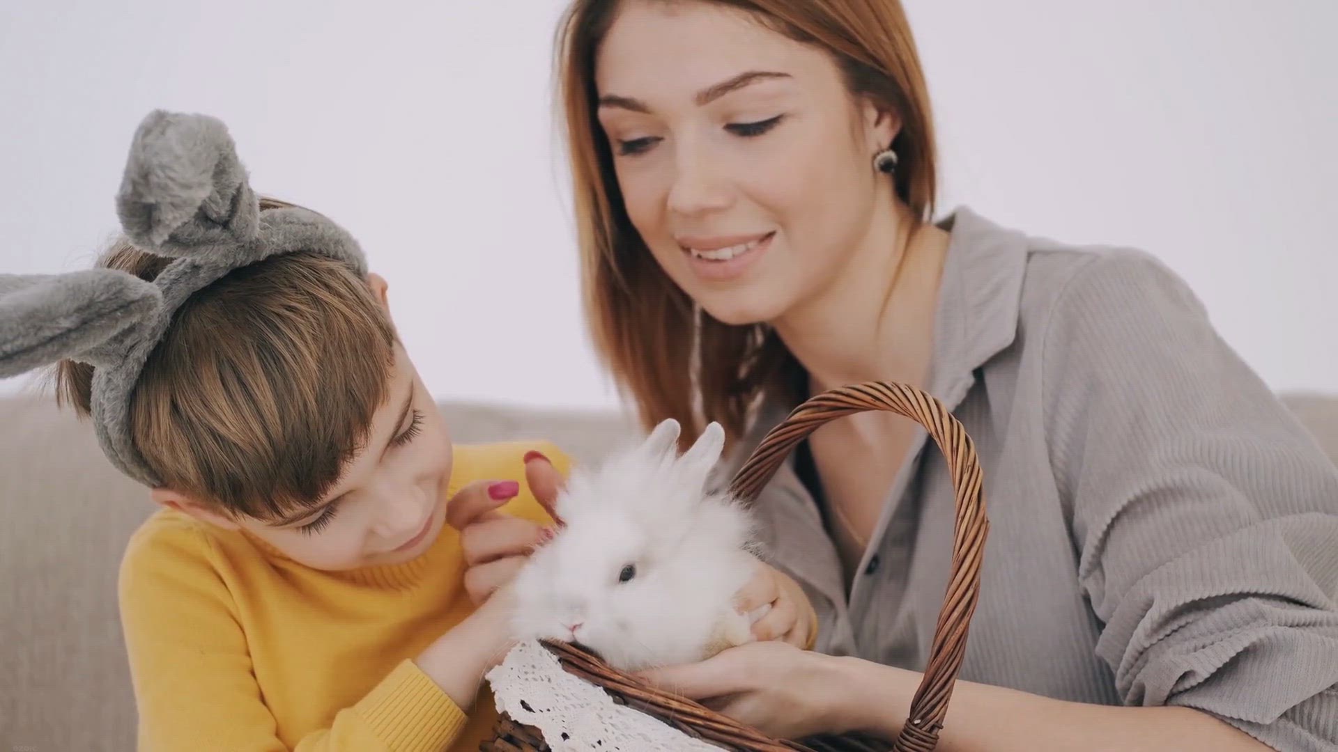 Video thumbnail for 7 Reasons Why a Rabbit Might Just Be Your Perfect Pet Companion