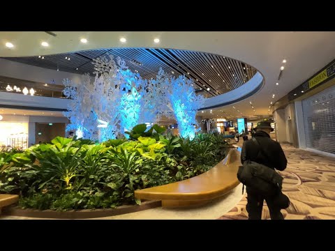 Video thumbnail for Singapore Airport Arrival & Connection Flight (Terminal 1 & Terminal 4) SIN