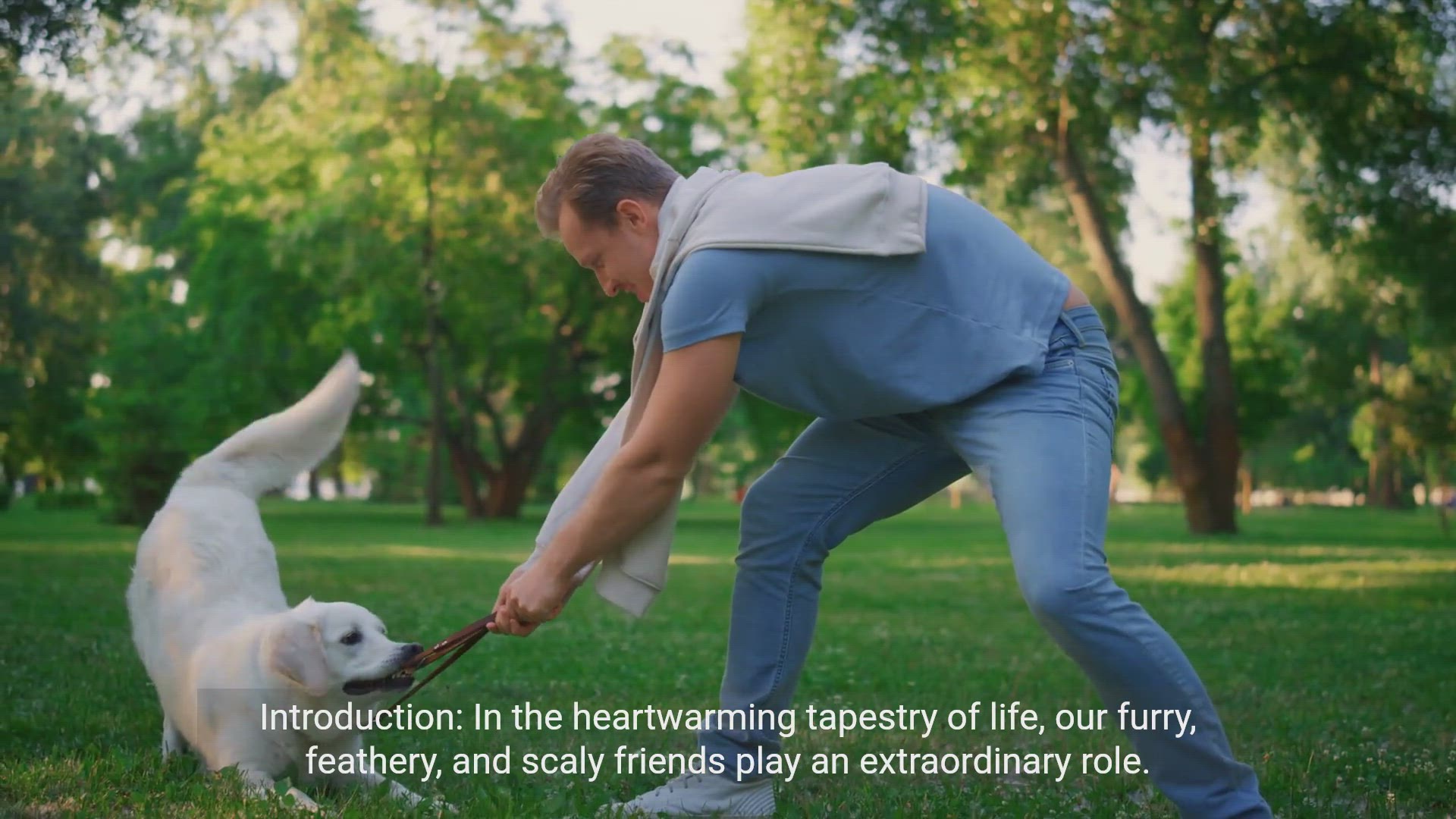 'Video thumbnail for Cuddly Companions: Unveiling the Joy Pets Bring to Our Lives'