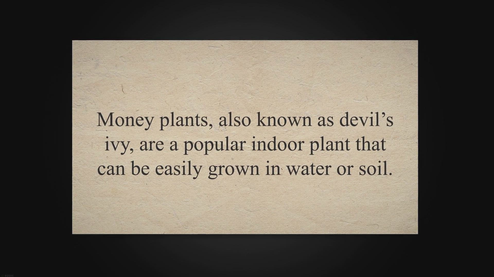 Video thumbnail for Rice Water for Money Plant