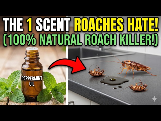 Video thumbnail for Home Remedies For Roaches -  The 1 Scent Cockroaches HATE (100% Natural Roach Killer!)