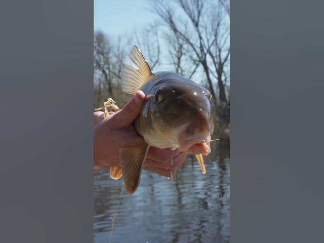 Video thumbnail for Wired2fish's NEW YouTube Series! | On The Bank