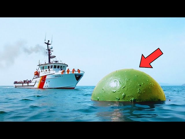 Video thumbnail for Sailors Spot a Strange Lump in the Ocean, Then They See What’s Below The Surface