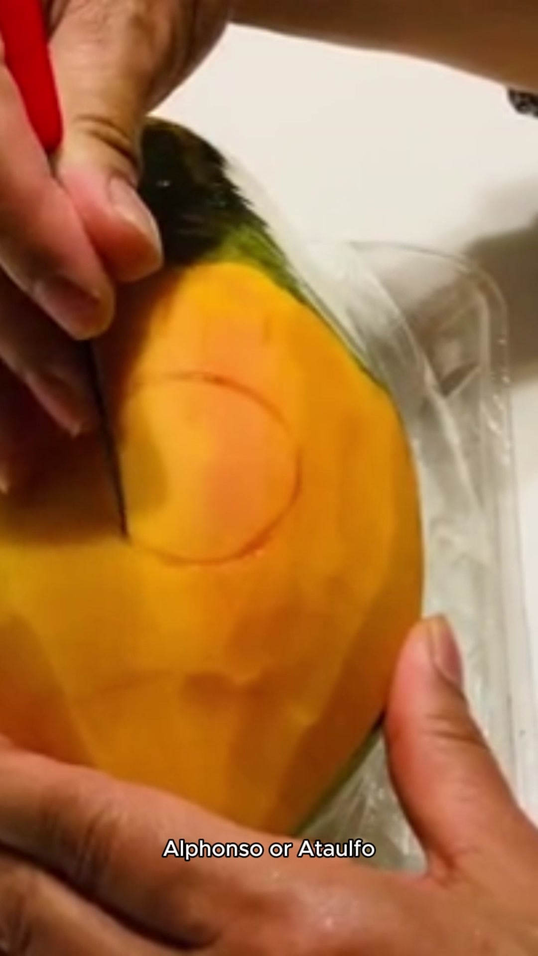 Video thumbnail for Mango Mirage_