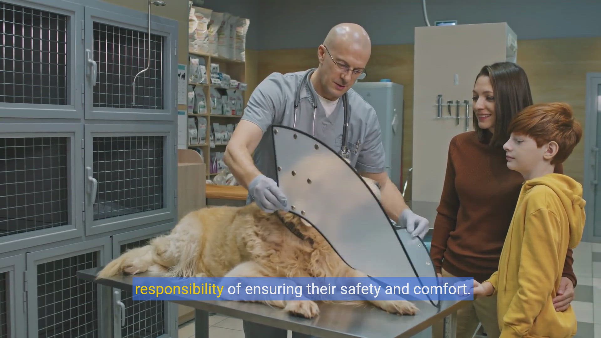 'Video thumbnail for The Perfect Fit: A Guide to Choosing the Right Dog Collar'