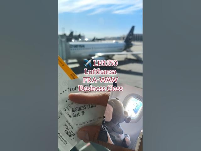 Video thumbnail for ✈️ Lufthansa Frankfurt Warszawa w Biznesie… i słoń 🐘🍫