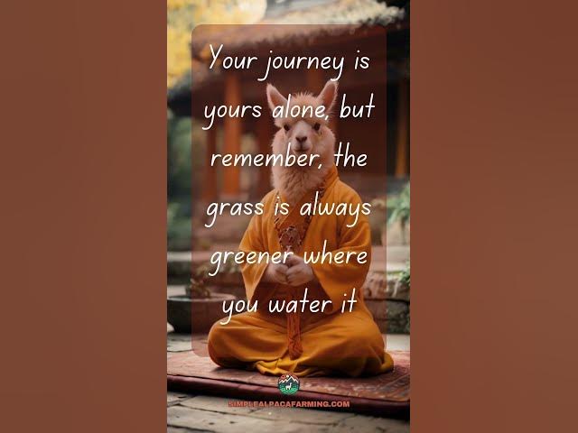 Video thumbnail for The Journey #alpaca #alpacawisdom #meditation #llama #quotestoliveby  #inspirationalquote