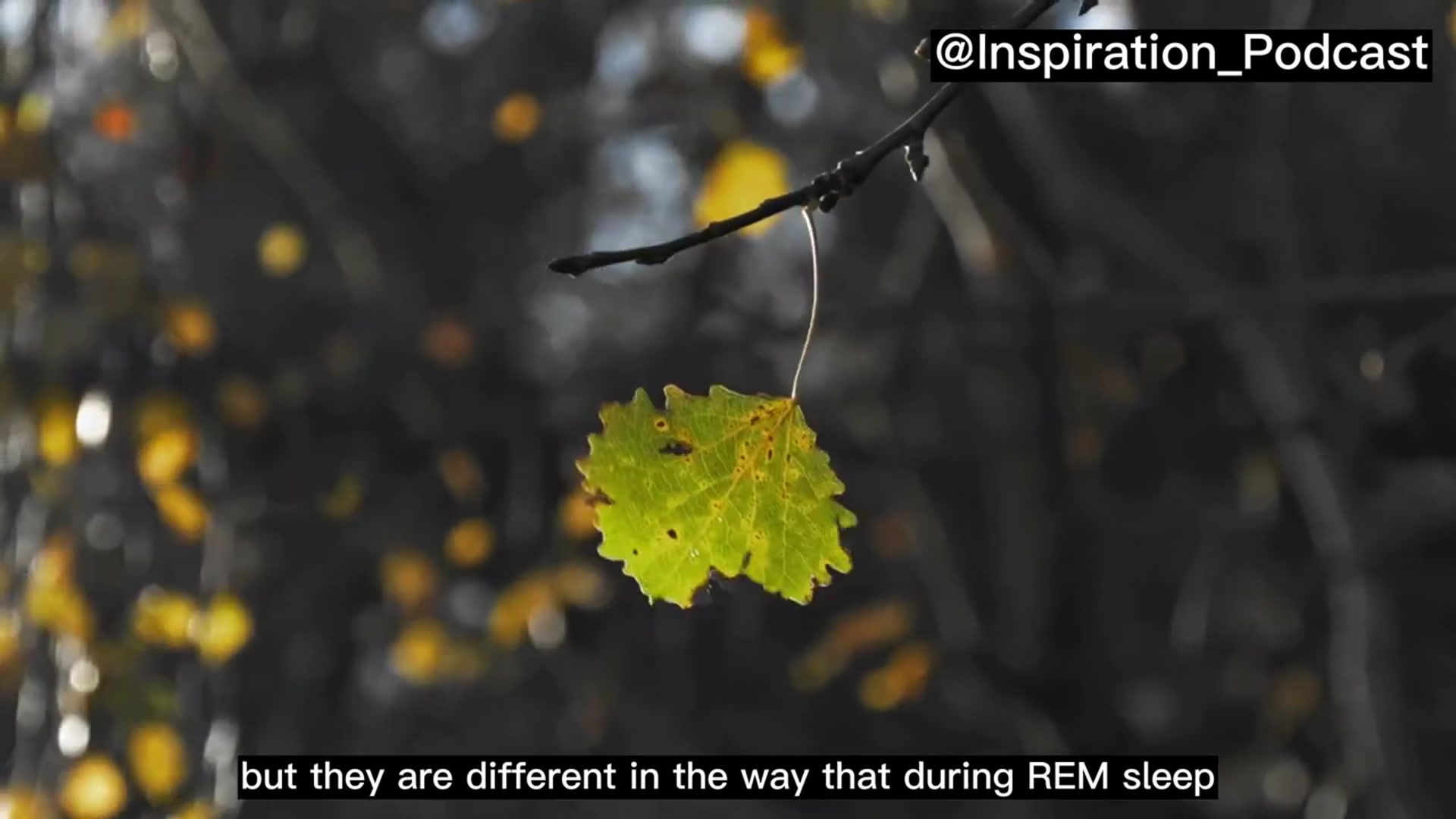 'Video thumbnail for 6 Ways To Use Dreams To Solve Problems | Inspiration Podcast'