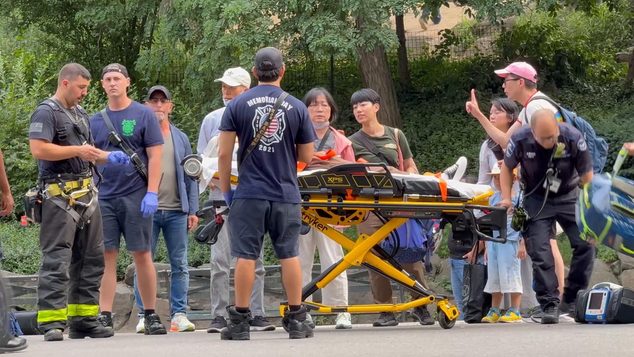 Video thumbnail for US: An Old Chinese Woman Hit By A Biker in Central Park 3.