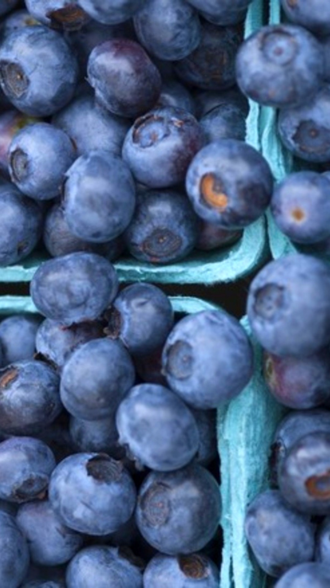 Video thumbnail for This Fresh Blueberry Myth Isn't Actually True