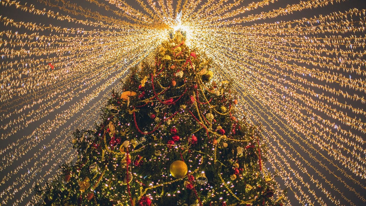 'Video thumbnail for Cuándo colocar el árbol de navidad'