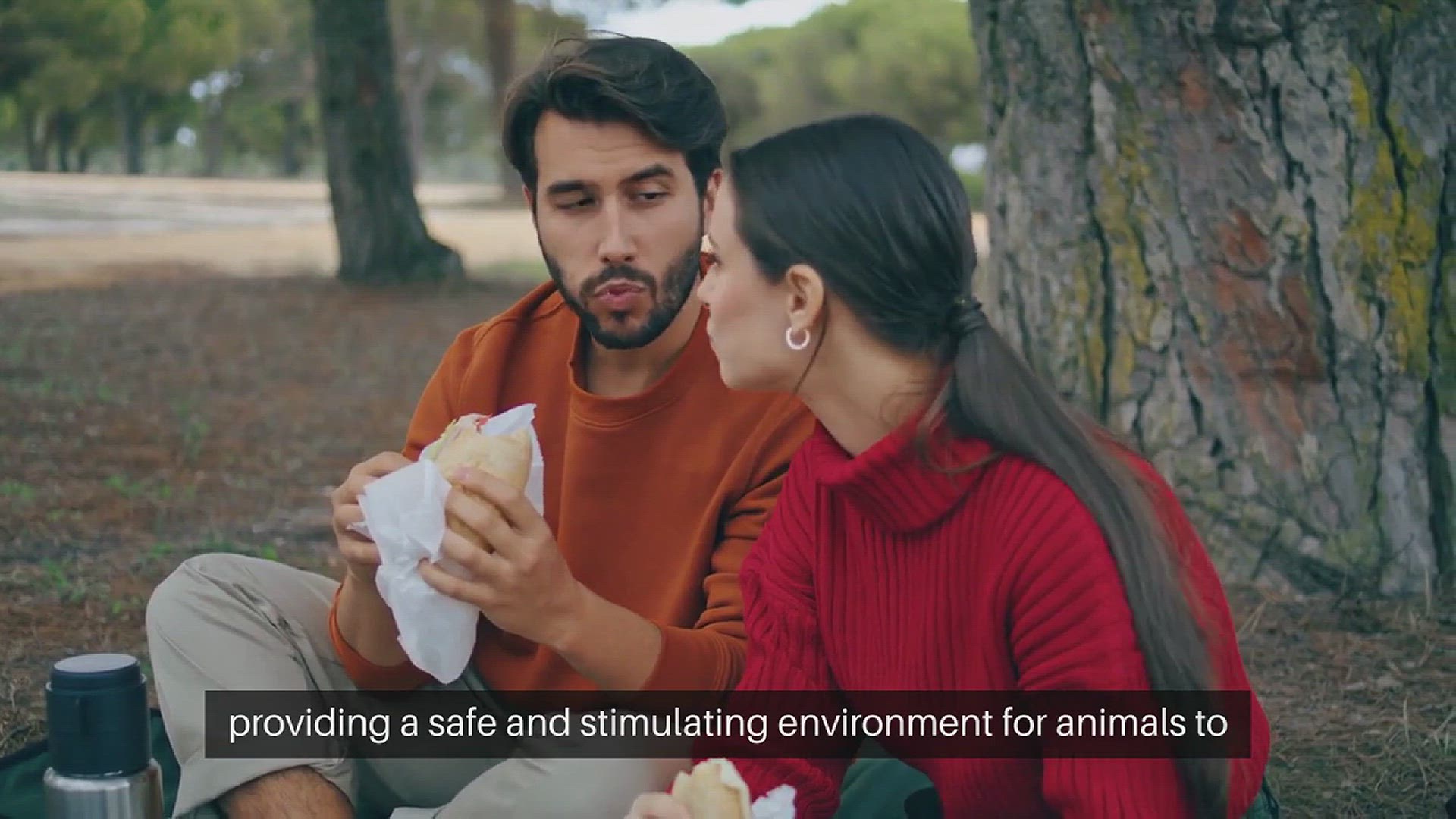 Video thumbnail for Building a Pet Play Area