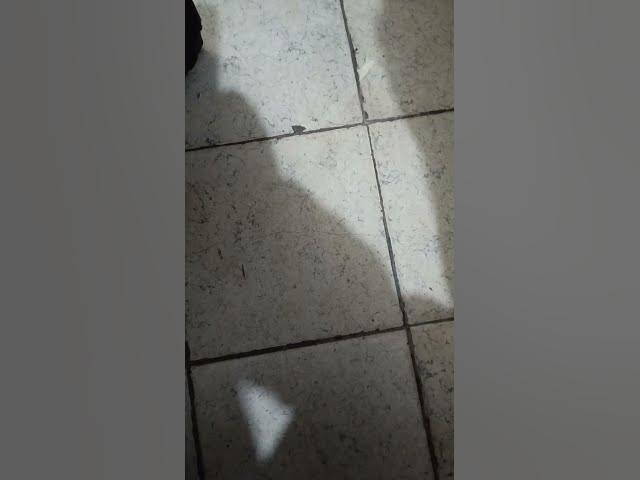 Video thumbnail for 8 de mayo de 2025