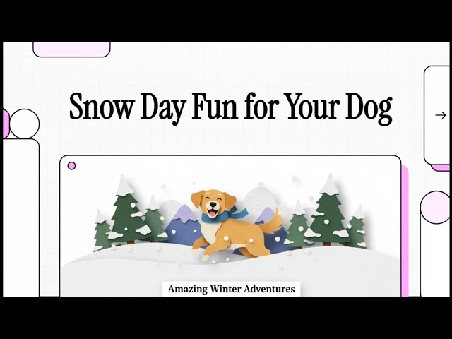 Video thumbnail for Fun Winter Games for Dogs